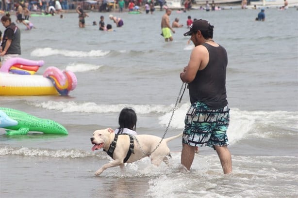 Abarrotan las playas de Veracruz