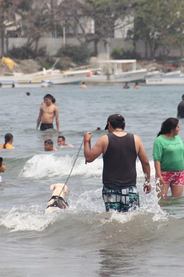 Abarrotan las playas de Veracruz