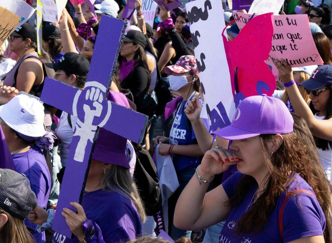 El activismo feminista y sus leyes