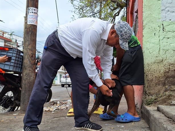 ¡Atento! Calor aumenta riesgo de rabia en animales