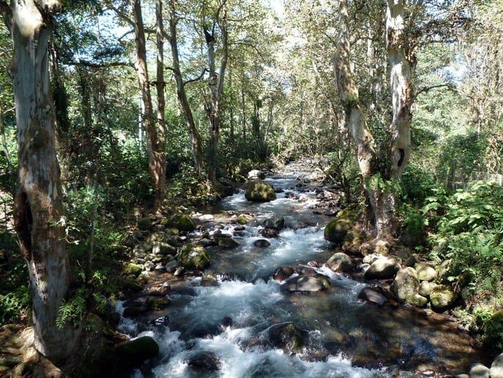 Hallan cuerpo de un hombre a orillas del río Huehueyapan en Xico