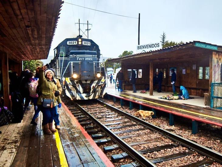 En esta fecha dos empresas presentan propuestas de rutas para tren de pasajeros