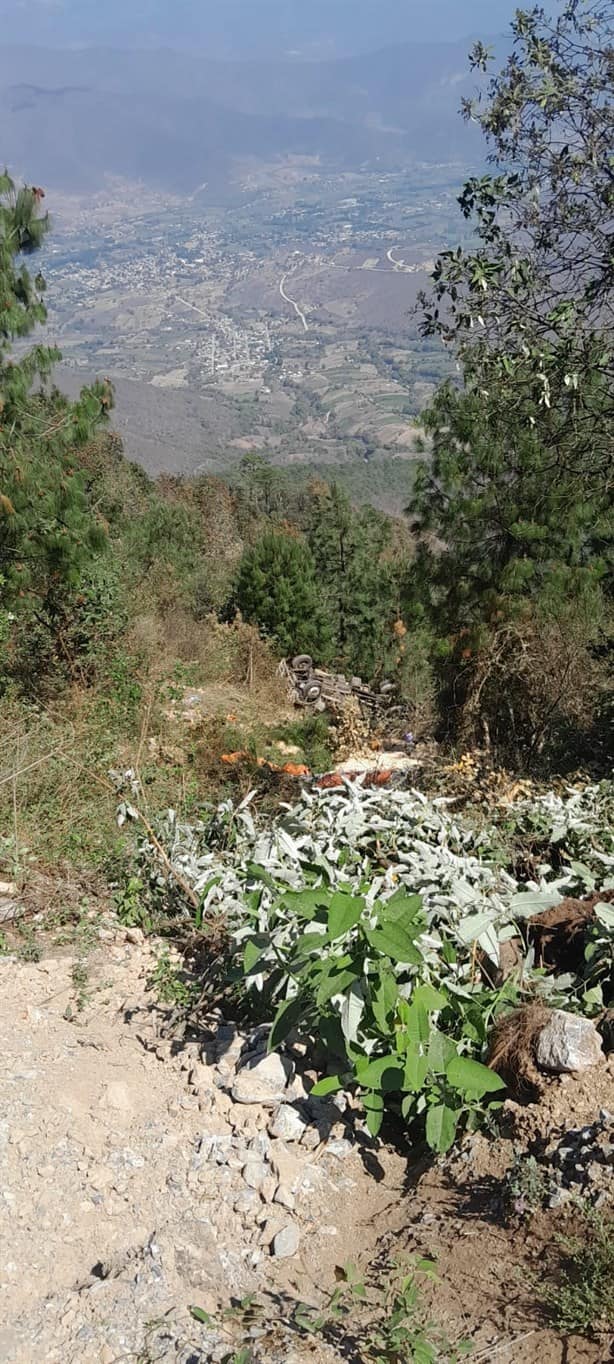 Camión de carga cae a barranco en Soledad Atzompa; hay un lesionado