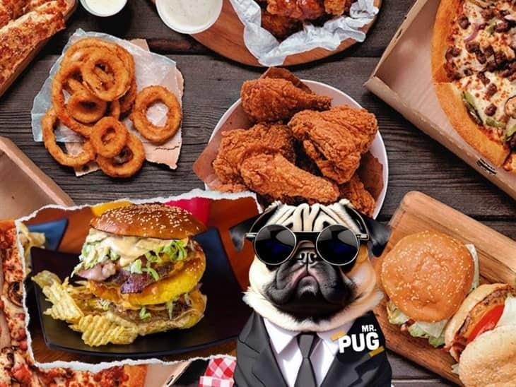 Mr. Pug: un nuevo concepto de hamburguesas y alitas en Xalapa 