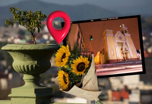 ¿Dónde comprar flores amarillas para el 21 de Marzo? Lugares en Xalapa