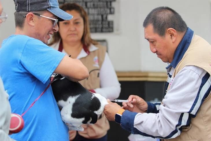 Arranca campaña de vacunación antirrábica en Río Blanco