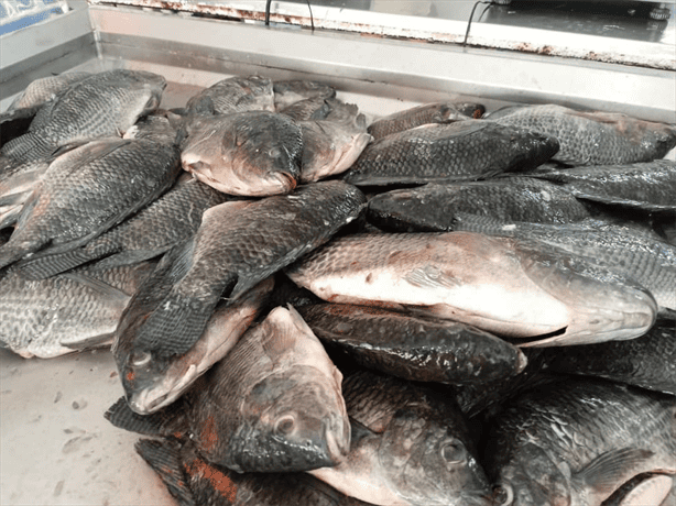 Incrementa la venta de pescado y marisco en Veracruz  