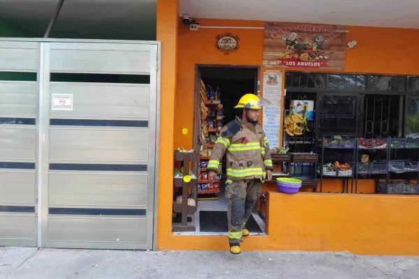 Reporte de incendio en el Reforma moviliza a Bomberos en Veracruz | VIDEO