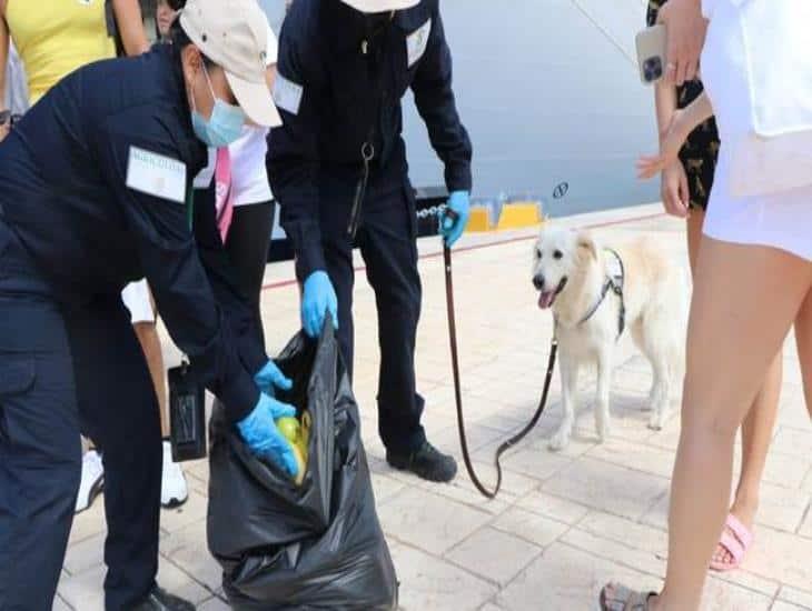 Se intensifica inspección a turistas en aeropuertos de México, esta es la razón