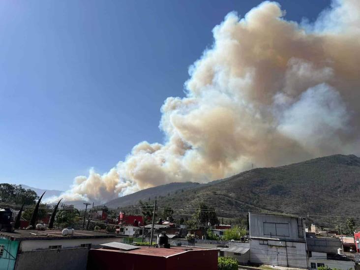 Incendios forestales amenazan a comunidades de Maltrata y Mendoza (+Video)