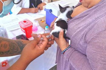 Por esto debes vacunar a tus mascotas contra la rabia