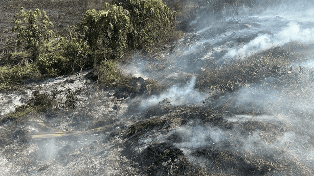 Fuertes calores provocan incendio en pastizales de colonia de Cosamaloapan