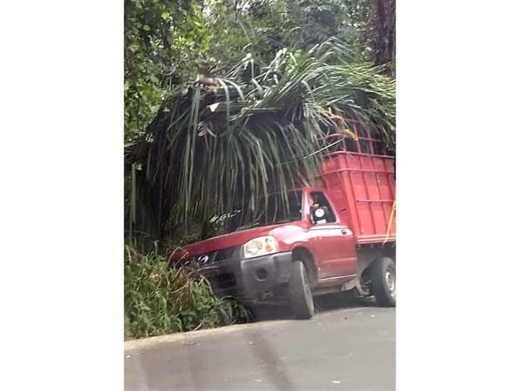 Camioneta cargada de zacate se sale de camino en la carretera Misantla-Martínez