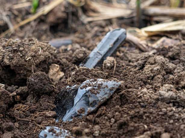 Descubrimiento histórico en Coscomatepec: hallan piezas arqueológicas