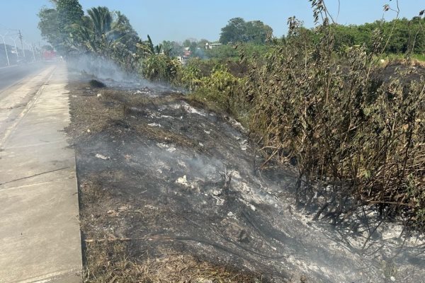 Fuertes calores provocan incendio en pastizales de colonia de Cosamaloapan