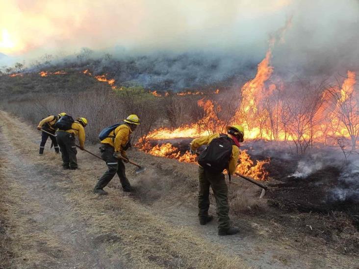 Suman siete incendios activos en el estado de Veracruz: Protección Civil