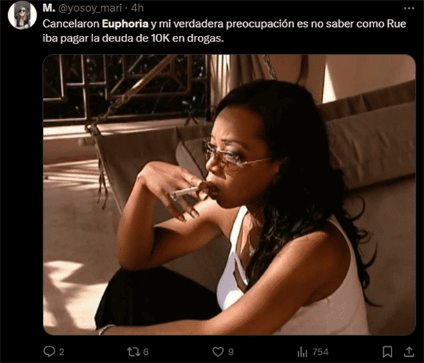 Los mejores MEMES tras la cancelación de la serie Euphoria