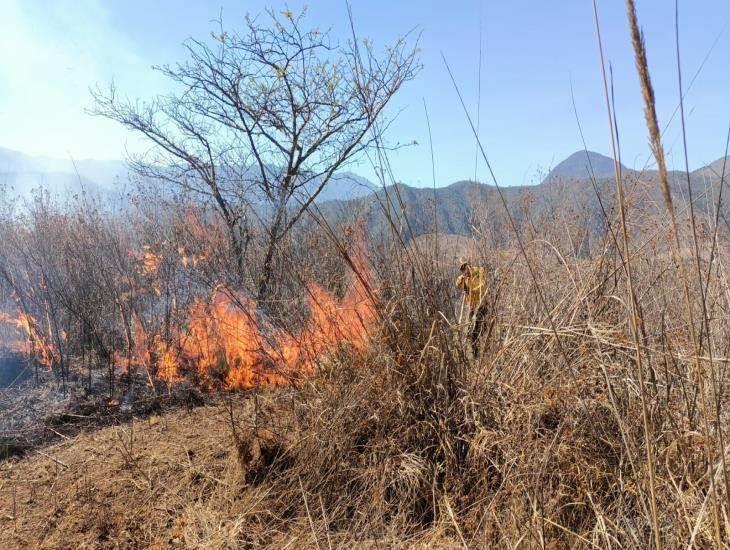 Incendios forestales en Veracruz: cómo iniciaron y cómo avanza su extinción