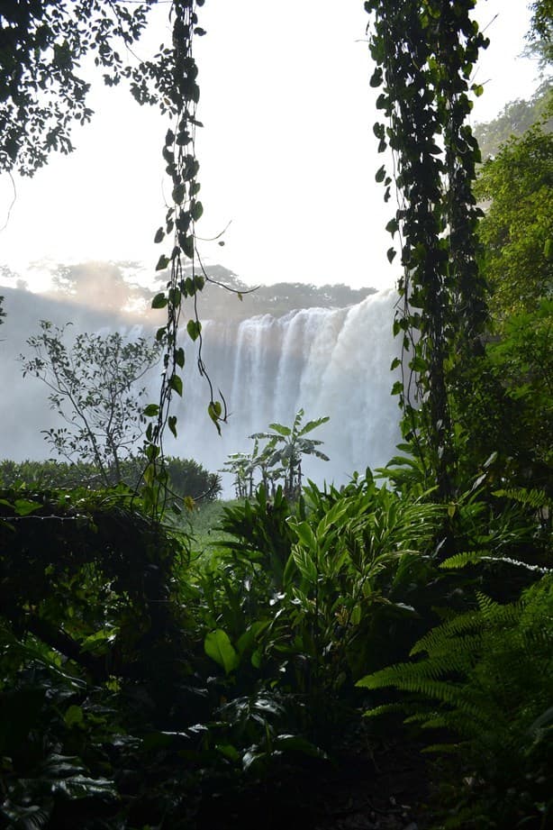 Semana Santa 2024: En esta cascada de Veracruz se filmó Apocalypto