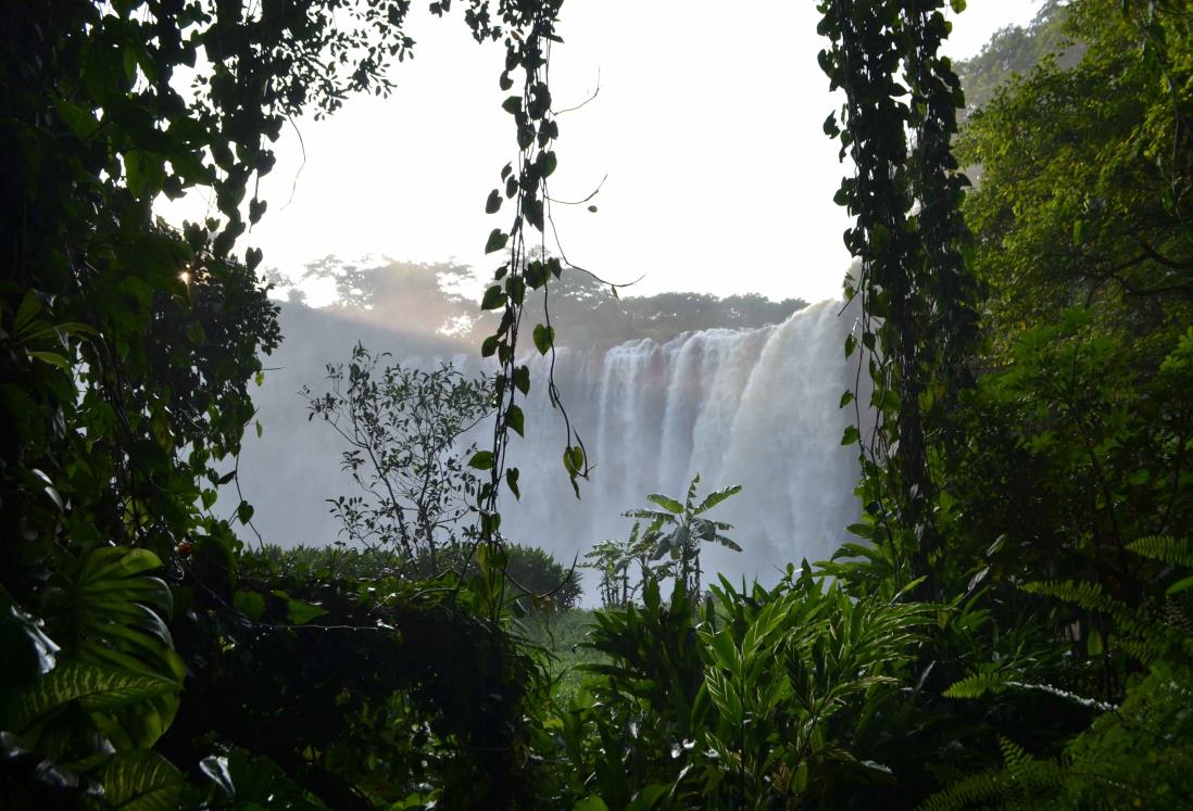 Semana Santa 2024: En esta cascada de Veracruz se filmó Apocalypto