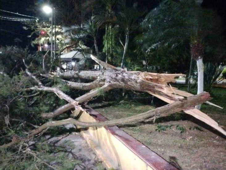 Fuerte surada deja afectaciones en municipios del centro de Veracruz