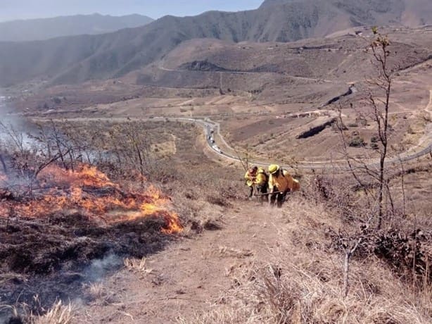 Estos son los municipios de Veracruz donde han evacuado por incendios forestales