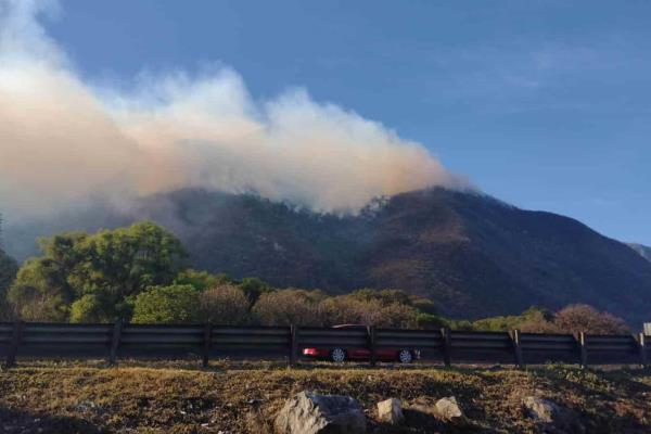 IP clama a Gobierno de Veracruz ayuda especializada para combate a incendios en Altas Montañas