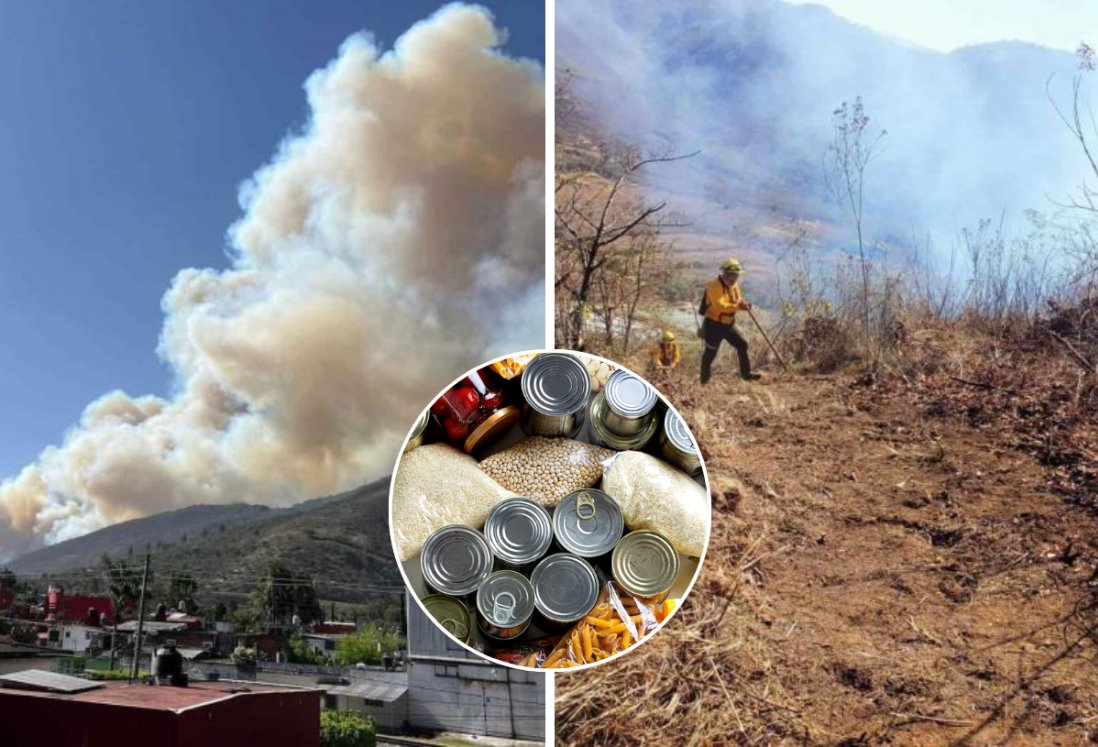 Estos son los centros de acopio en Veracruz por los incendios forestales