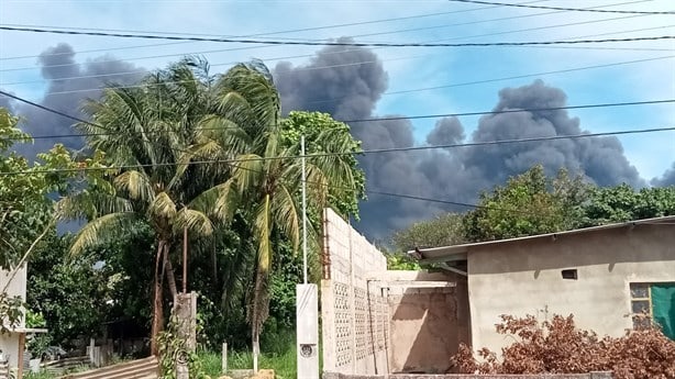 Alarma incendio de pastizales en predio de la refinería “Lázaro Cárdenas” I VIDEO