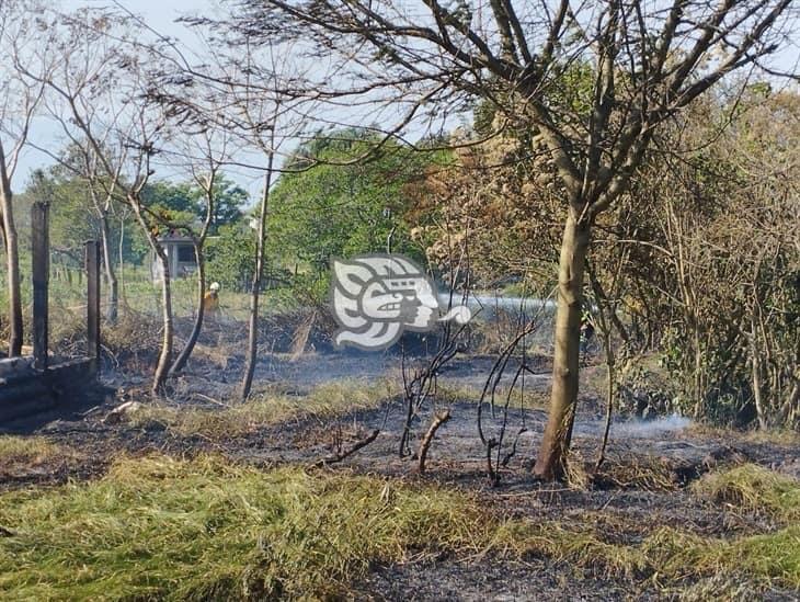 Sujetos prenden fuego a un pastizal en la autopista Puebla-Córdoba