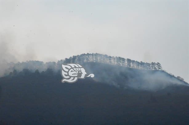 Con brechas, intentan evitar expansión del incendio en el cerro El Xochio, de Acultzingo (+Video)