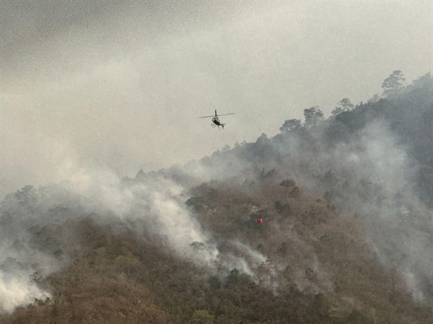 ¿Cuántas hectáreas han sido afectadas por los incendios forestales en Veracruz?