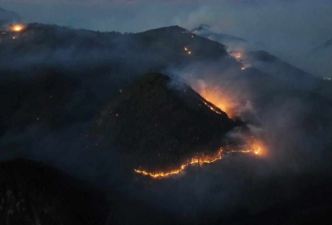 ¿Cuántas hectáreas han sido afectadas por los incendios forestales en Veracruz?