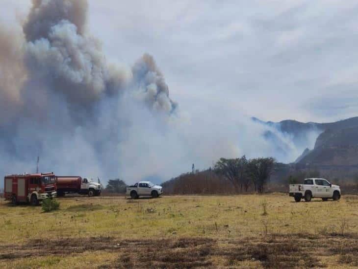 Estos son los daños provocados por los incendios forestales en Veracruz