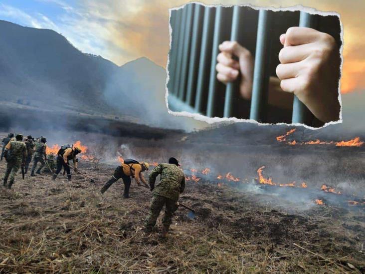 Esta es la pena de cárcel para quien provoque incendios forestales en Veracruz