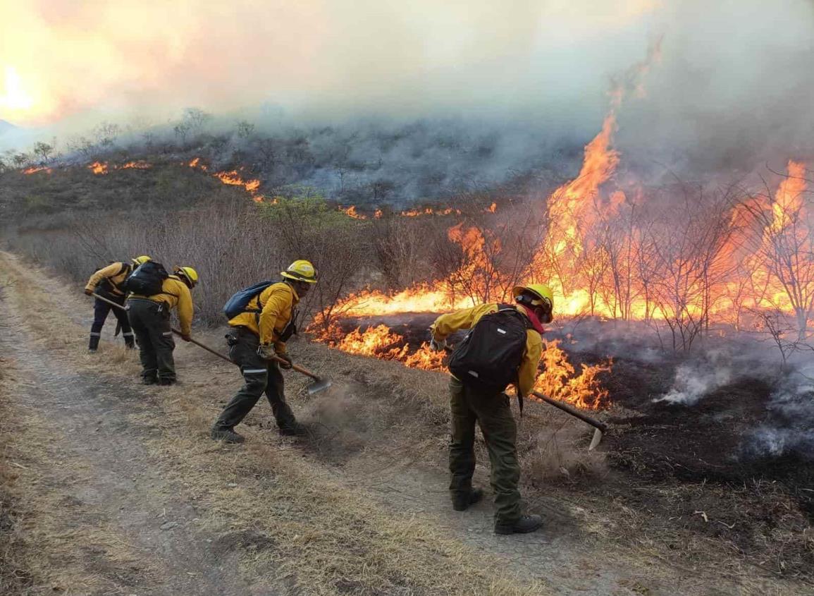 La amenaza de los incendios forestales en Veracruz