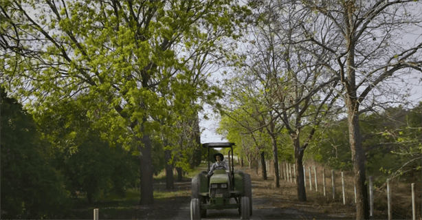 Martes y Miércoles del Campo en Soriana: las mejores ofertas del 26 y 27 de marzo