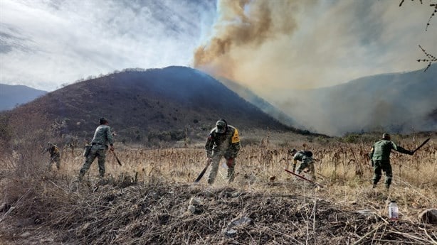 Estos son los daños provocados por los incendios forestales en Veracruz