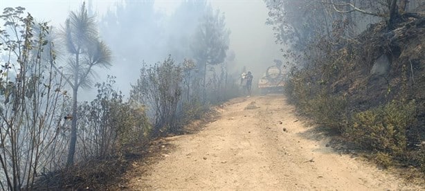 Karely Ruiz apoyará a afectados por incendios forestales en Veracruz