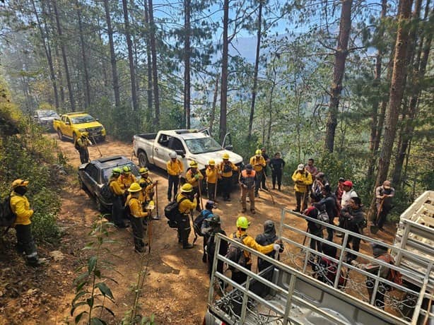 Controlan tres incendios forestales en las Altas Montañas de Veracruz