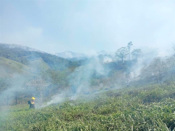 Controlan tres incendios forestales en las Altas Montañas de Veracruz