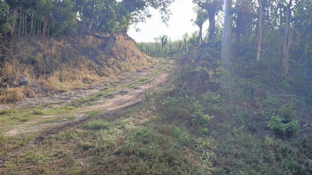 Tras balacera, localizan campo de adiestramiento del narco en Papantla