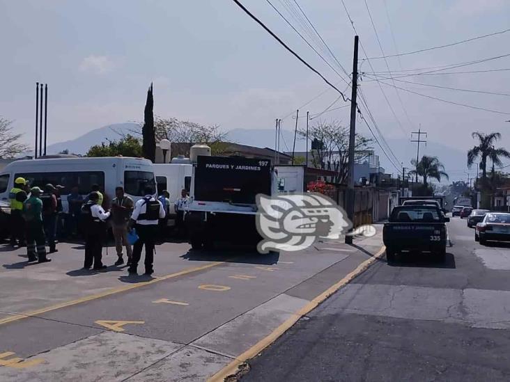 Camión de ayuntamiento causa estragos en Orizaba