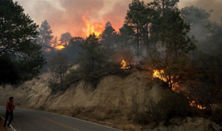 AMLO: “Hay 116 incendios forestales en México”