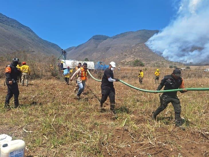 Reportan más de 1,670 hectáreas afectadas por incendios forestales en las Altas Montañas