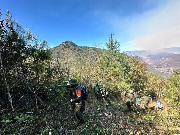 Reportan más de 1,670 hectáreas afectadas por incendios forestales en las Altas Montañas