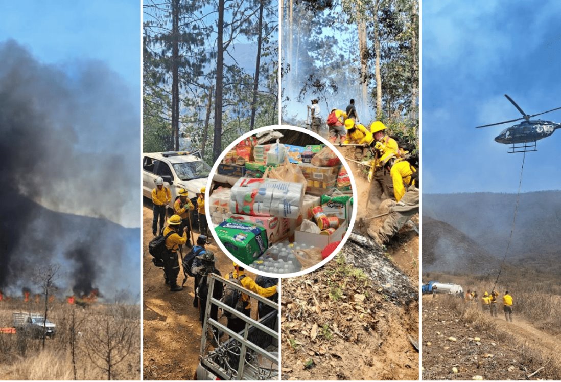 ¿Qué artículos donar en los centros de acopio de Acuario de Veracruz y PMA por incendios?