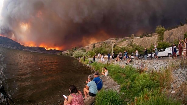 ¿Cómo actuar ante los incendios forestales? Así puedes cuidarte