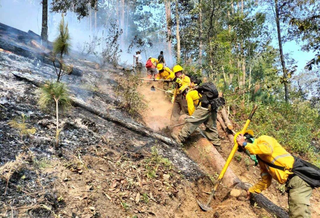 Alista PC demandas contra generadores de incendios forestales en Veracruz