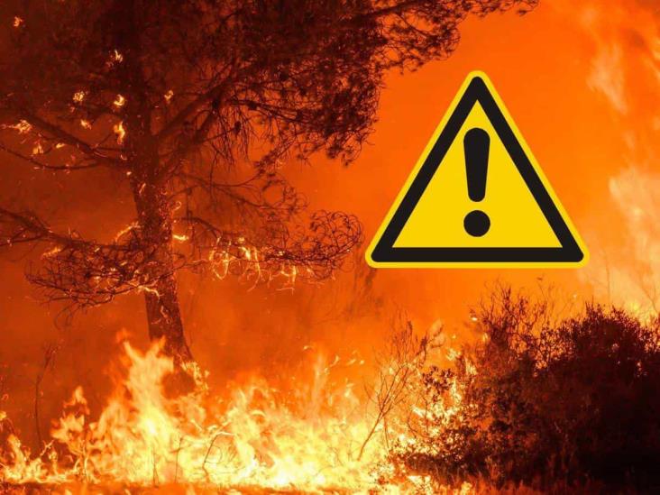 ¿Cómo actuar ante los incendios forestales? Así puedes cuidarte